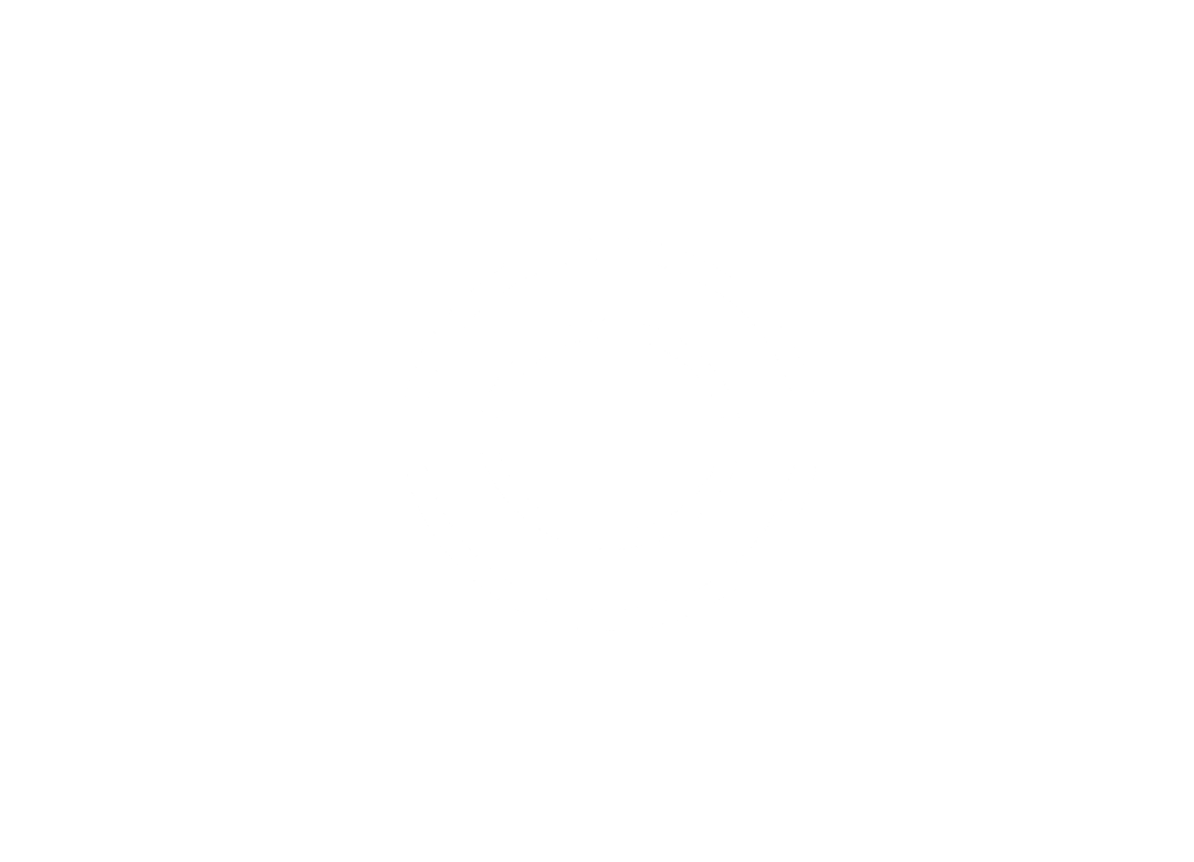 Partner 9